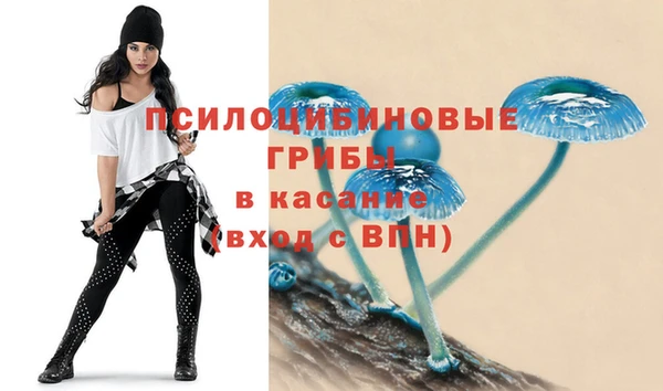 амф Арсеньев