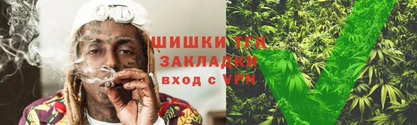 амф Арсеньев