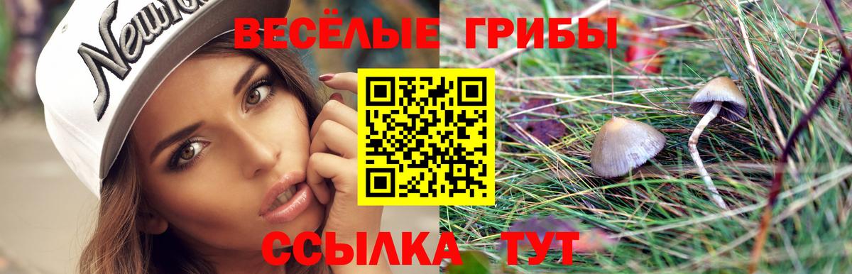 Обнинск  сколько стоит  Вход с VPN  Галлюциногенные грибы прущие грибы 